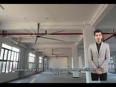 5Grote ventilatoren voor een optimale luchtcirculatie in school- en sportscholen