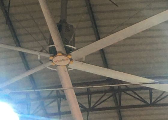 Goede prijs. 7.3m industriële gigantische plafondventilator voor indoor basketbalveld koelventilatie online