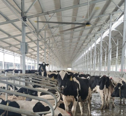 Goede prijs. Multifunctionele ReuzePlafondventilatoren380v 220V 1.5KW Energie - besparingsPlafondventilator online
