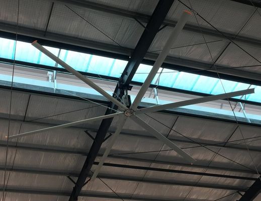 Goede prijs. 50 RPM 7,3m 6 Leaf Big Place High Volume Low Speed Ventilatoren online